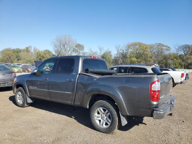 5TBDT441X6S517274 - 2006 TOYOTA TUNDRA DOUBLE CAB SR5 GRAY photo 2