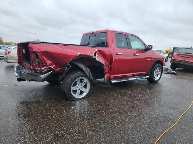 1D7RV1GT6AS240552 - 2010 DODGE RAM 1500 RED photo 3
