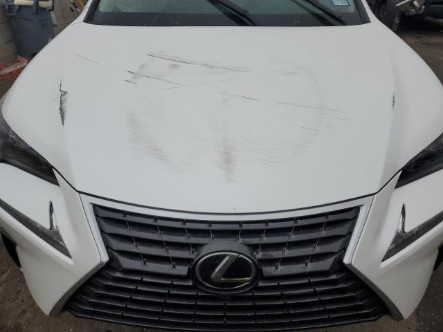 JTJAARBZXL2158305 - 2020 LEXUS NX 300 BASE თეთრი ფოტო 11