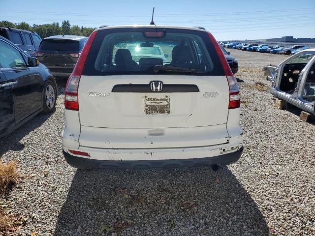 3CZRE3H37BG700647 - 2011 HONDA CR-V LX 白色 照片 6