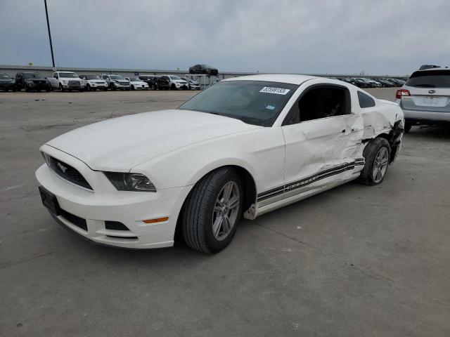 1ZVBP8AM5D5269069 - 2013 FORD MUSTANG WHITE photo 1