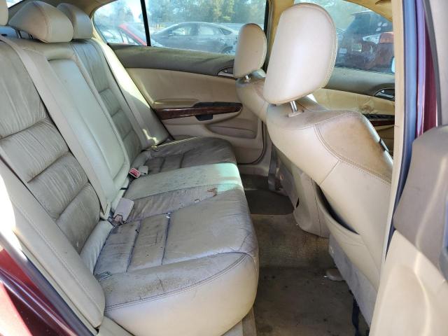 1HGCP368X9A032633 - 2009 HONDA ACCORD EXL BURGUNDY photo 10