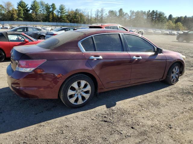 1HGCP368X9A032633 - 2009 HONDA ACCORD EXL BURGUNDY photo 3