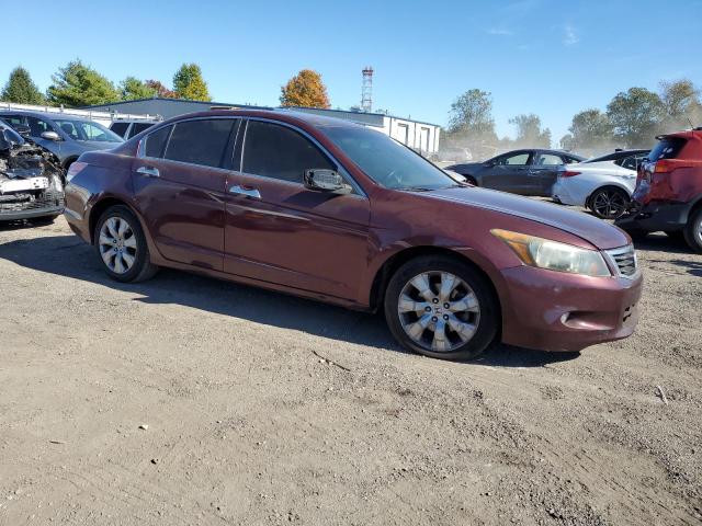 1HGCP368X9A032633 - 2009 HONDA ACCORD EXL BURGUNDY photo 4