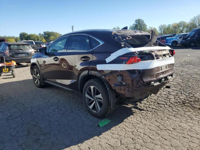 JTJBARBZ7K2201520 - 2019 LEXUS NX 300 BASE Շագանակագույն լուսանկար 2
