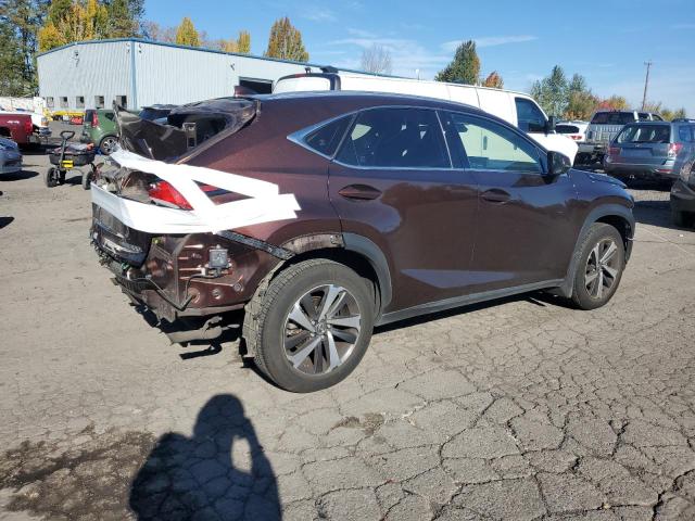 JTJBARBZ7K2201520 - 2019 LEXUS NX 300 BASE Շագանակագույն լուսանկար 3