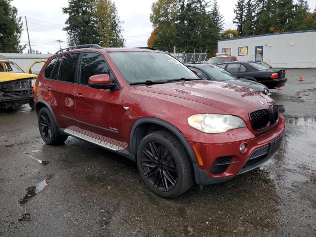 5UXZV8C55D0C16092 - 2013 BMW X5 XDRIVE50I BURGUNDY photo 4