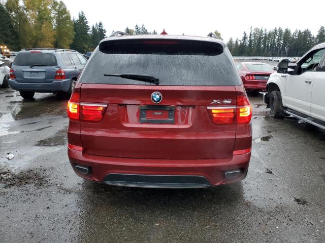 5UXZV8C55D0C16092 - 2013 BMW X5 XDRIVE50I BURGUNDY photo 6