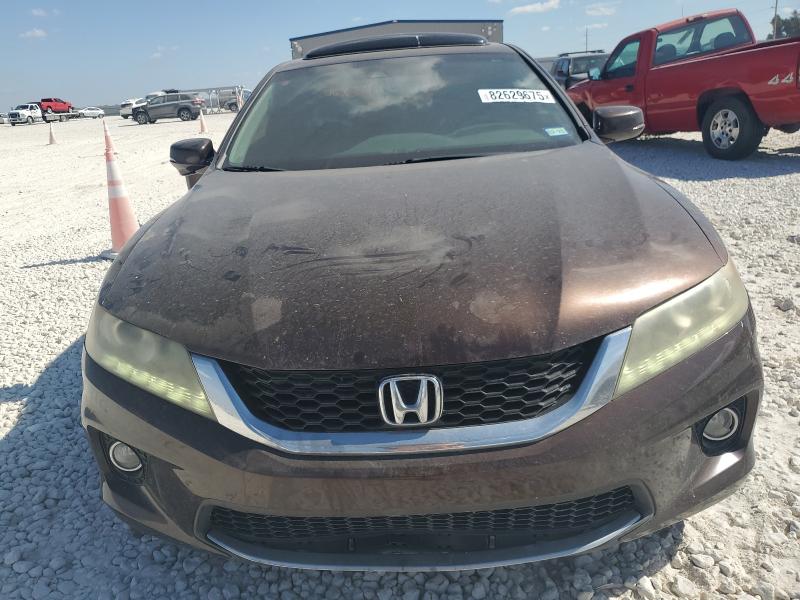 1HGCT2B87DA000842 - 2013 HONDA ACCORD EXL 棕色 照片 5