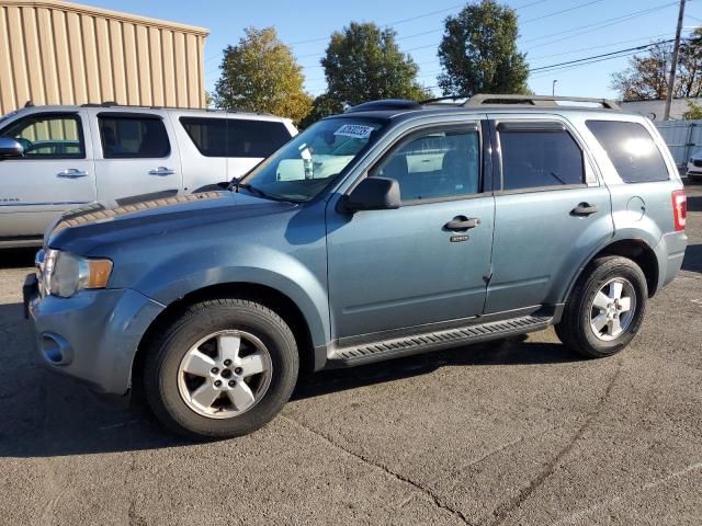 2010 FORD ESCAPE XLT, 