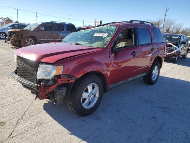 1FMCU0D79BKB37174 - 2011 FORD ESCAPE XLT RED photo 1