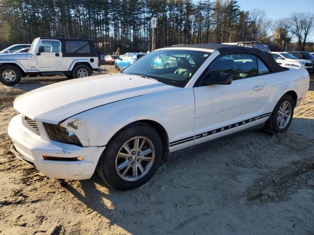 1ZVFT84N165226076 - 2006 FORD MUSTANG WHITE photo 1