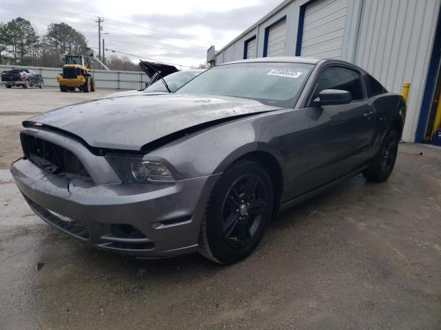 1ZVBP8AMXE5218684 - 2014 FORD MUSTANG SILVER photo 1