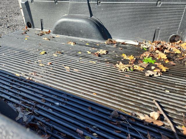 1GCEC14X66Z136454 - 2006 CHEVROLET SILVERADO C1500 Bej fotoğraf 10