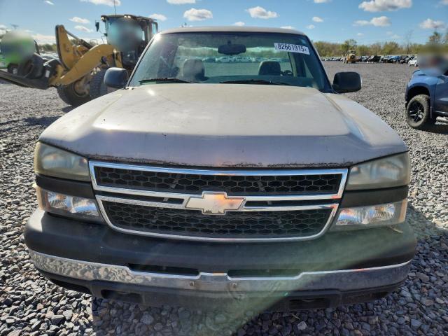 1GCEC14X66Z136454 - 2006 CHEVROLET SILVERADO C1500 Bej fotoğraf 5
