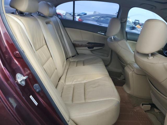 JHMCP26878C015055 - 2008 HONDA ACCORD EXL Bordeaux photo 10