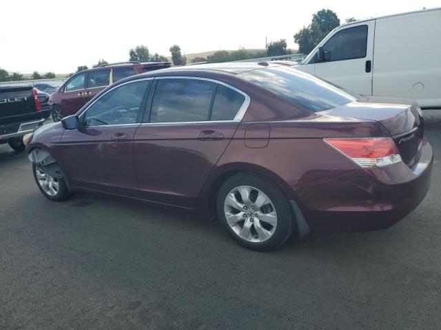 JHMCP26878C015055 - 2008 HONDA ACCORD EXL Bordeaux photo 2