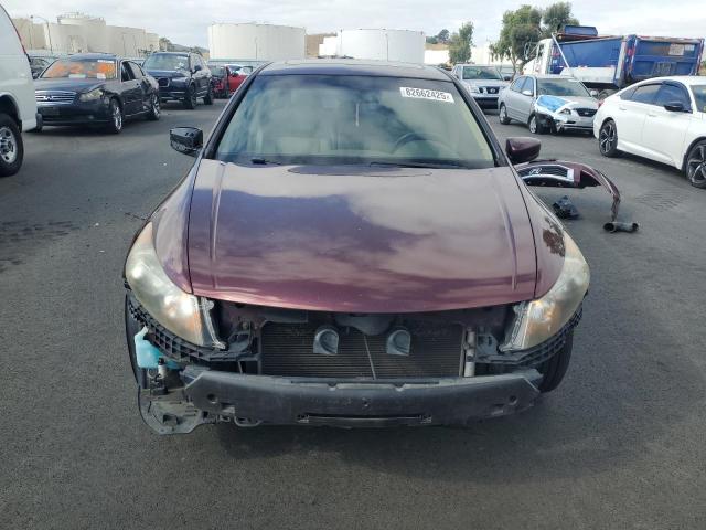 JHMCP26878C015055 - 2008 HONDA ACCORD EXL Bordeaux photo 5