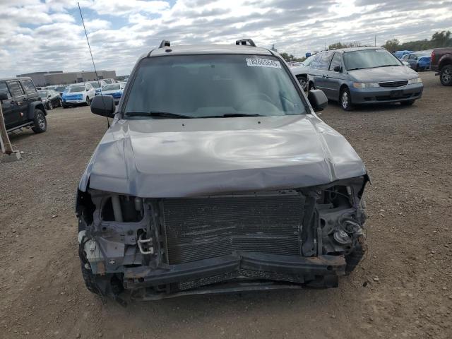 1FMCU0D76AKB28706 - 2010 FORD ESCAPE XLT GRAY photo 5