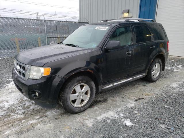 2012 FORD ESCAPE XLT, 