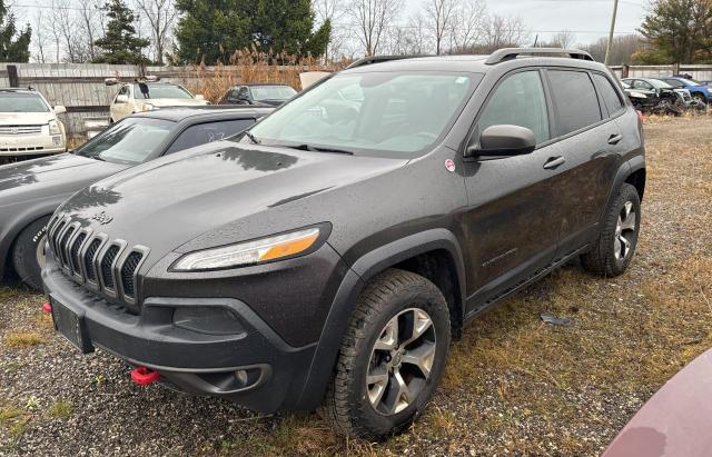 1C4PJMBS9EW236989 - 2014 JEEP CHEROKEE TRAILHAWK Boz foto 2
