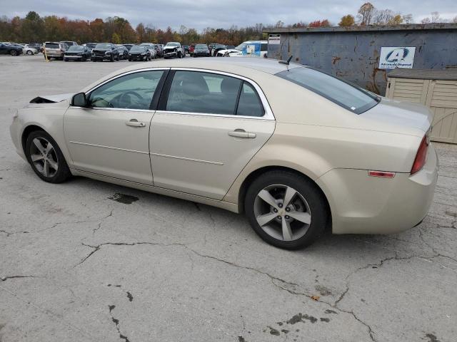 1G1ZC5E18BF103964 - 2011 CHEVROLET MALIBU 1LT Brun photo 2