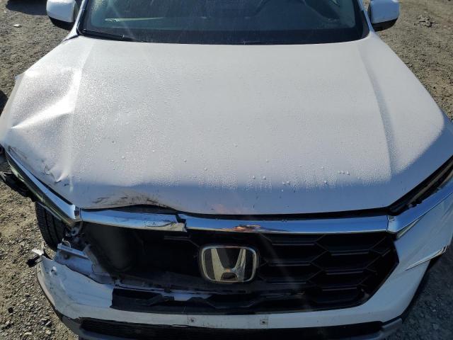 5FNYG1H75RB005716 - 2024 HONDA PILOT TOURING თეთრი ფოტო 12