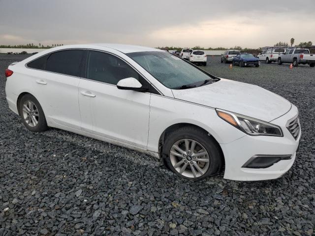 5NPE24AF7GH397889 - 2016 HYUNDAI SONATA SE 白色 照片 4