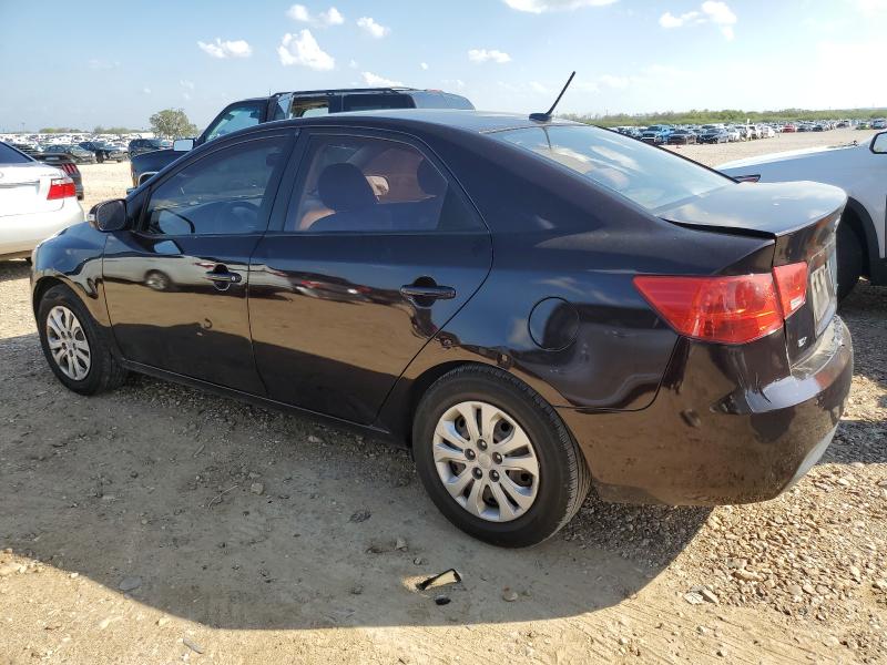 KNAFU4A28A5063550 - 2010 KIA FORTE EX PURPLE photo 2