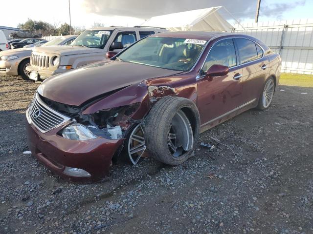 JTHBL46F575025622 - 2007 LEXUS LS 460 BURGUNDY photo 1