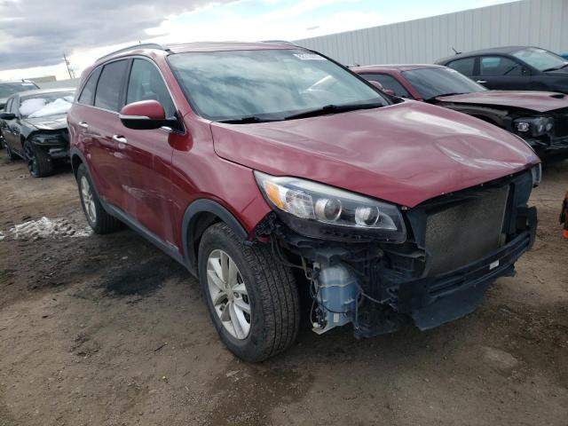 5XYPGDA58HG196450 - 2017 KIA SORENTO LX BURGUNDY photo 4