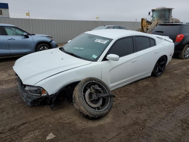 2C3CDXCTXEH161317 - 2014 DODGE CHARGER R/T WHITE photo 1