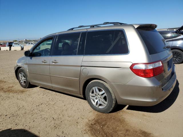 5FNRL38795B129638 - 2005 HONDA ODYSSEY EXL Qəhvəyi foto 2