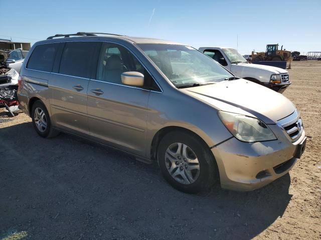 5FNRL38795B129638 - 2005 HONDA ODYSSEY EXL Qəhvəyi foto 4