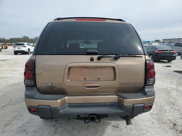 1GNDT13S422348801 - 2002 CHEVROLET TRAILBLAZE BROWN photo 6