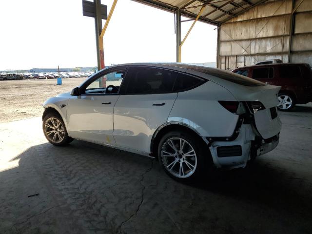 5YJYGAEE7MF244311 - 2021 TESLA MODEL Y Ağ foto 2