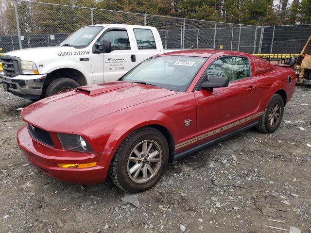1ZVHT80N295112316 - 2009 FORD MUSTANG SILVER photo 1