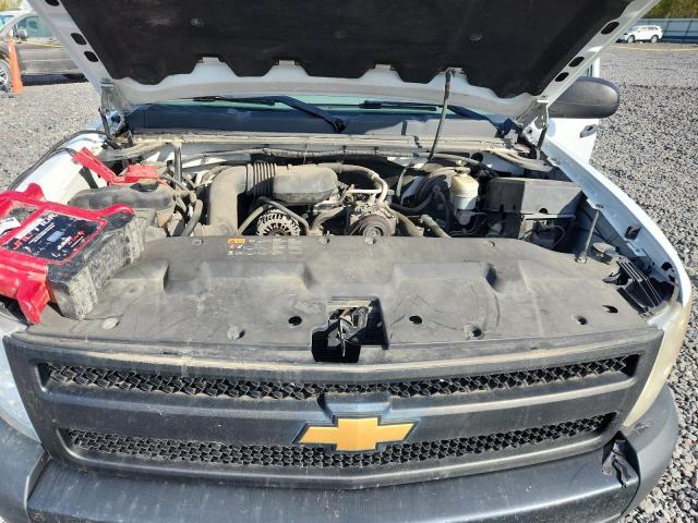 1GCNCPEX7DZ193406 - 2013 CHEVROLET SILVERADO C1500 Weiß Foto 11