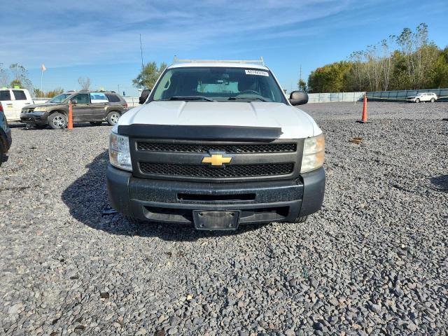 1GCNCPEX7DZ193406 - 2013 CHEVROLET SILVERADO C1500 Weiß Foto 5