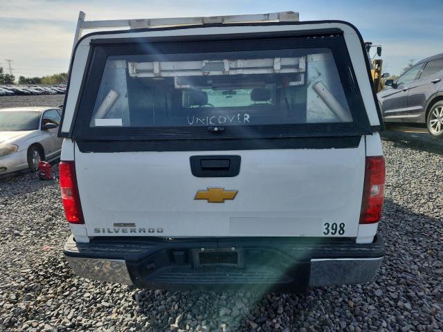 1GCNCPEX7DZ193406 - 2013 CHEVROLET SILVERADO C1500 Weiß Foto 6