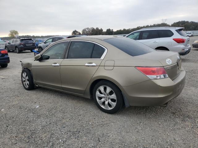 1HGCP3F81AA023159 - 2010 HONDA ACCORD EXL GOLD photo 2