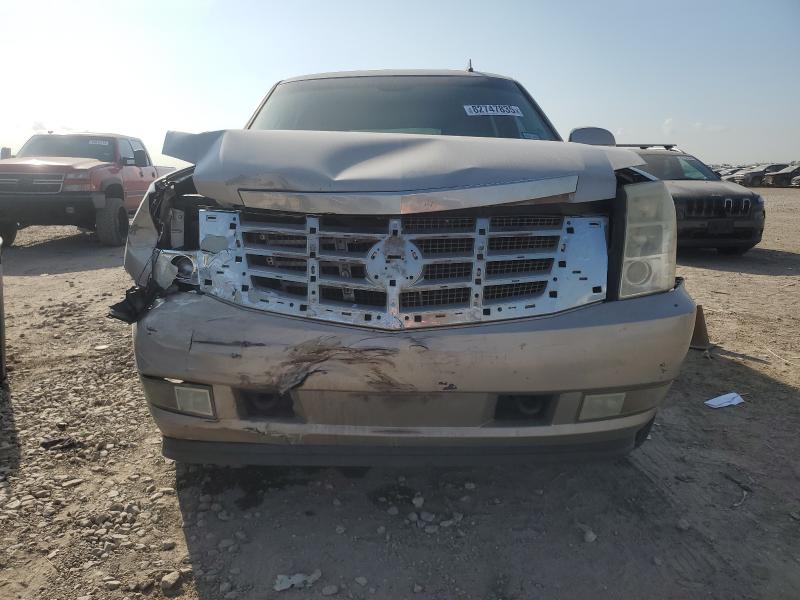 1GYFK63867R143463 - 2007 CADILLAC ESCALADE LUXURY Brun photo 5