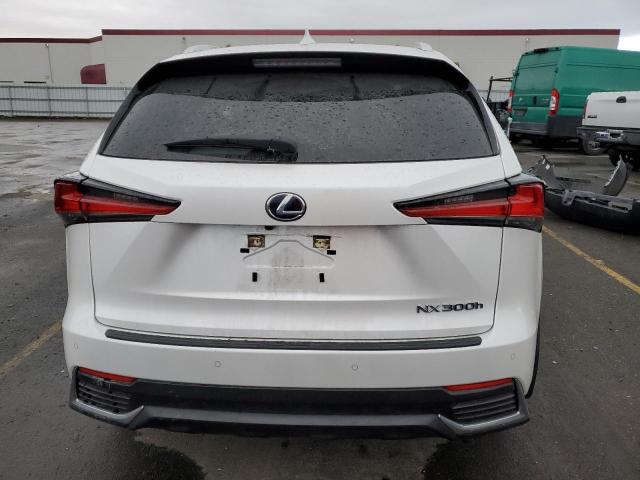 JTJDJRDZ5L5004061 - 2020 LEXUS NX 300H WHITE photo 6