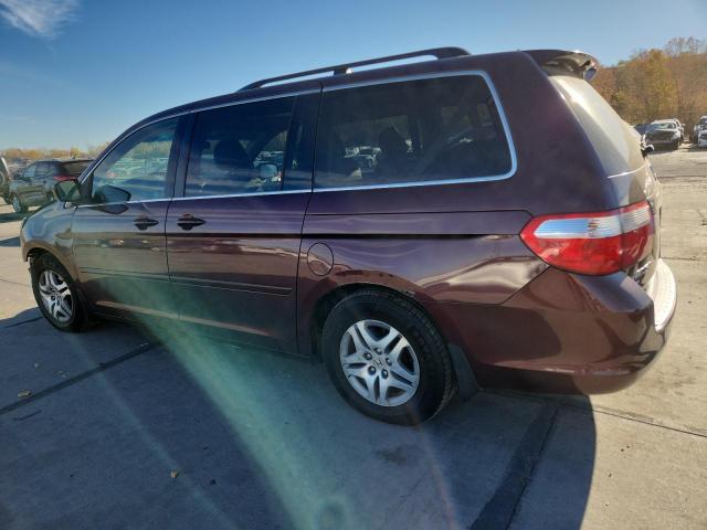 5FNRL38747B425685 - 2007 HONDA ODYSSEY EXL 勃艮第红 照片 2