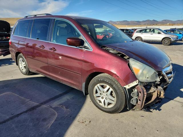 5FNRL38747B425685 - 2007 HONDA ODYSSEY EXL 勃艮第红 照片 4