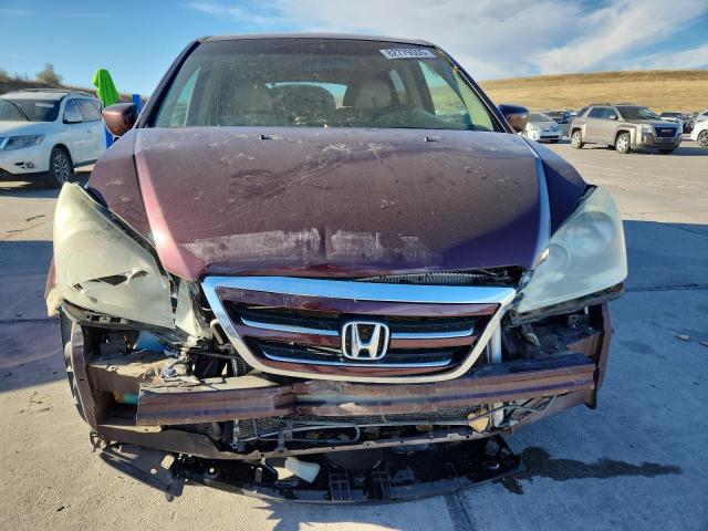 5FNRL38747B425685 - 2007 HONDA ODYSSEY EXL 勃艮第红 照片 5