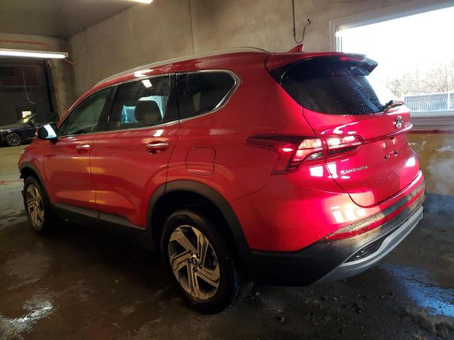 5NMS2DAJ6PH525916 - 2023 HYUNDAI SANTA FE SEL RED photo 2