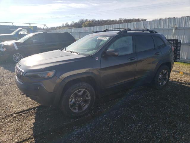 1C4PJMBX3KD350697 - 2019 JEEP CHEROKEE TRAILHAWK GRAY photo 1