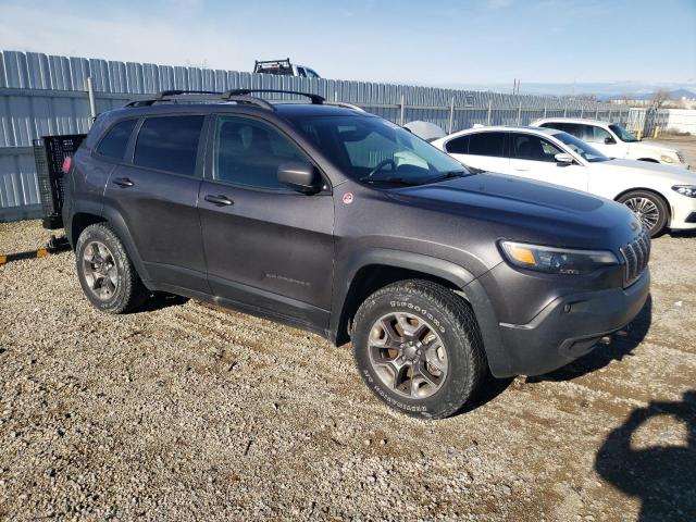 1C4PJMBX3KD350697 - 2019 JEEP CHEROKEE TRAILHAWK GRAY photo 4