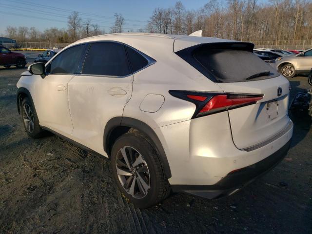 JTJGARDZ2L5000840 - 2020 LEXUS NX 300 WHITE photo 2